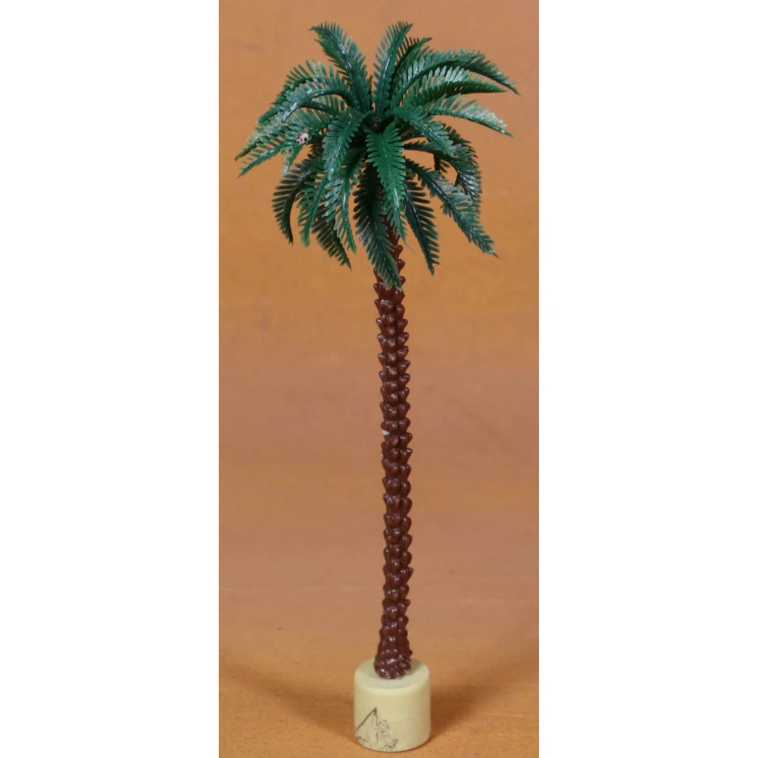 Palma 18cm (ad Innesto) 3 Palma 18cm (ad Innesto)