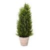 Albero Di Natale Abetone Con Vaso - 60 Cm -Offerte Natale Negozio 0021169 albero di natale abetone con vaso 60 cm