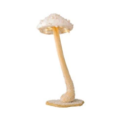 Funghi Luminosi Con Micro LED -Offerte Natale Negozio 0056945 funghi luminosi con micro led