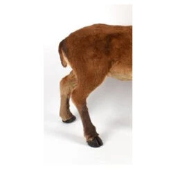 Cervo Con Pelliccia 67cm 9 Cervo Con Pelliccia 67cm -Offerte Natale Negozio 0058170 cervo con pelliccia 67cm