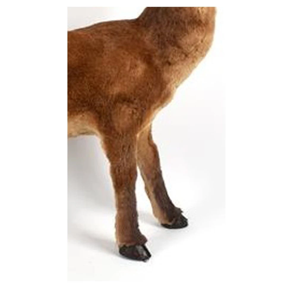 Cervo Con Pelliccia 67cm 6 Cervo Con Pelliccia 67cm - immagine 4
