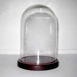 Campana Vetro Con Base Legno 26cm -Offerte Natale Negozio 0058467 campana vetro con base legno 26cm