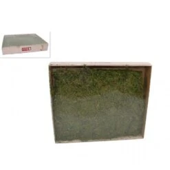 Muschio Verde Per Presepe 300g