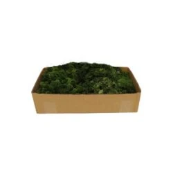 My Village Muschio Lichene Verde Per Villaggio Natalizio E Presepe 500g