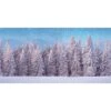 My Village Poster Foresta Invernale Per Villaggio Natalizio E Presepe 300x150cm -Offerte Natale Negozio 0058531 my village poster foresta invernale per villaggio natalizio e presepe 300x150cm