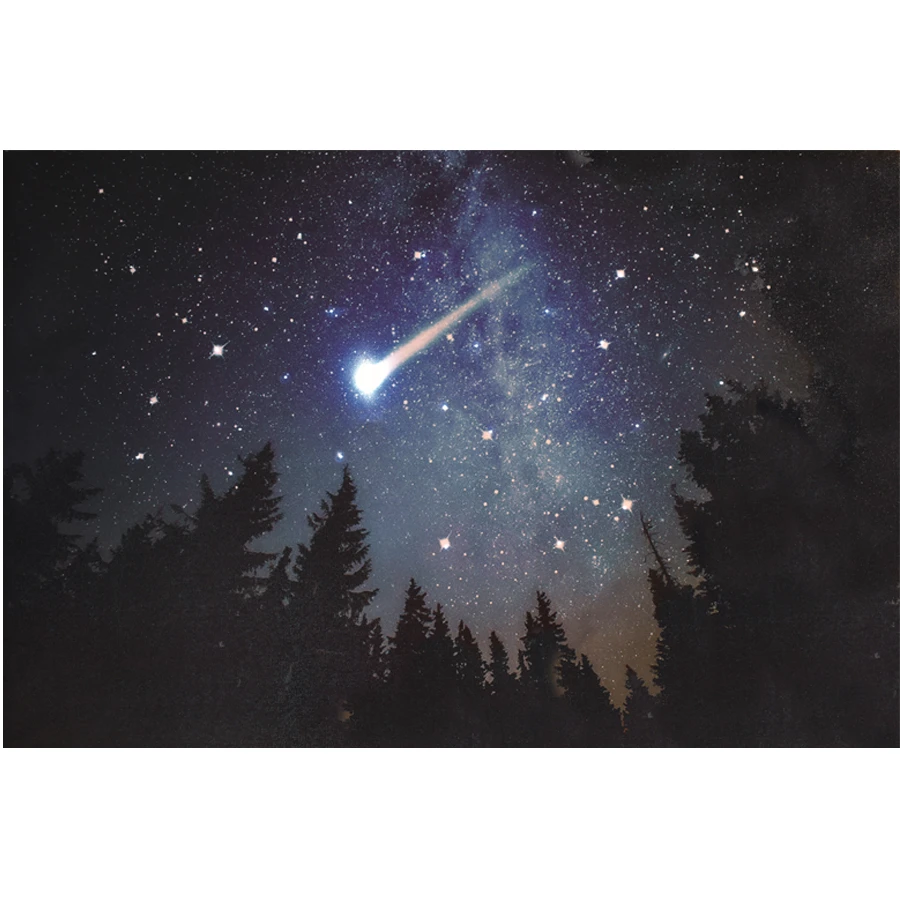 Quadro Natalizio Bosco Di Notte Con Stella Cometa LED E Fibra Ottica A Batteria 3 Quadro Natalizio Bosco Di Notte Con Stella Cometa LED E Fibra Ottica A Batteria