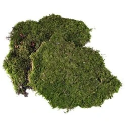 Muschio Soffice Per Presepi E Villaggi Natalizi 60gr